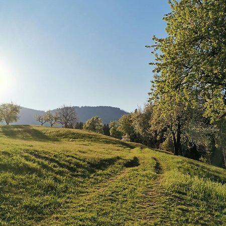 Apartma Lesjak - Pobeg V Naravo Mozirje Kültér fotó